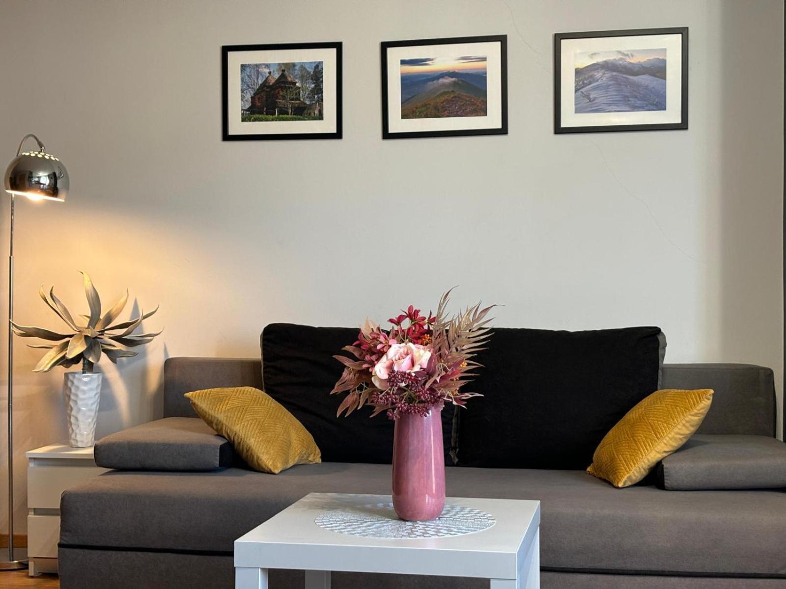 Apartament Wygodny Ustrzyki Dolne Exteriér fotografie